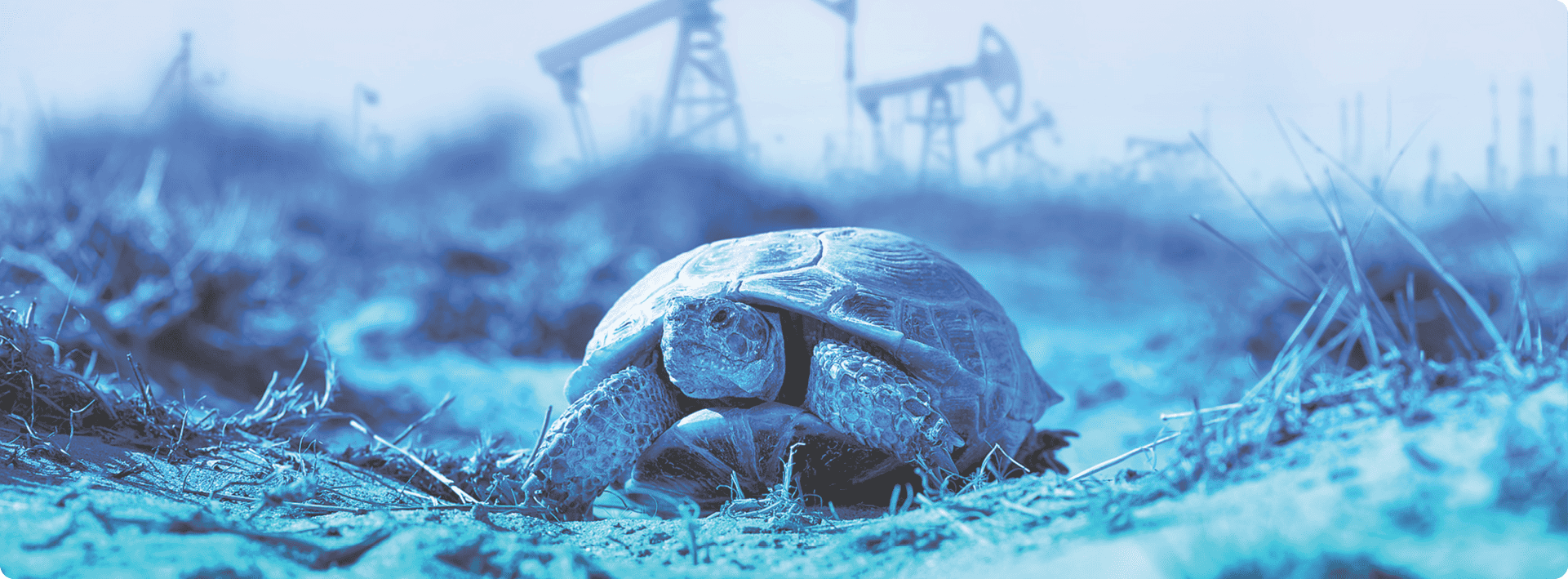 Рост добычи сланцевой нефти в США