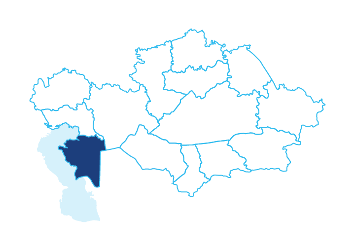 Проект Бектурлы Восточный