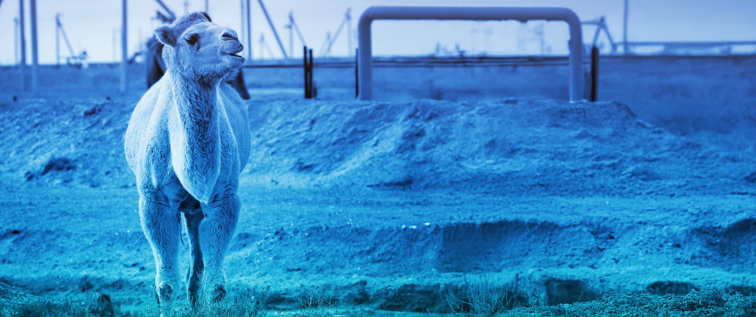 Геологоразведка